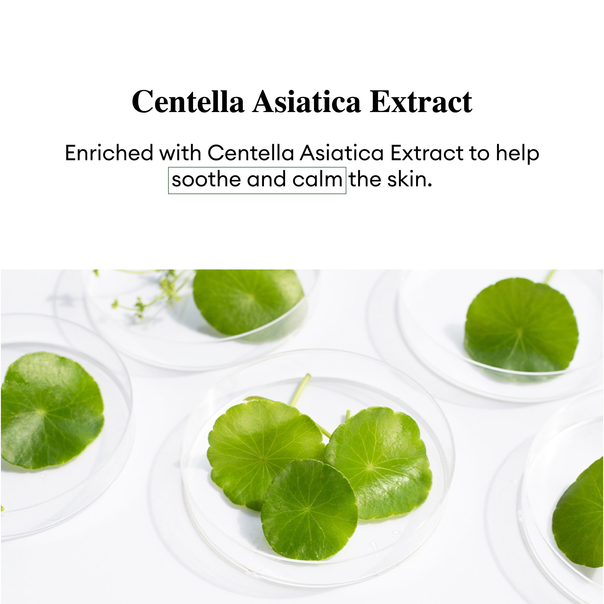 TENZERO RELIEF CICA CLEANSING OIL
